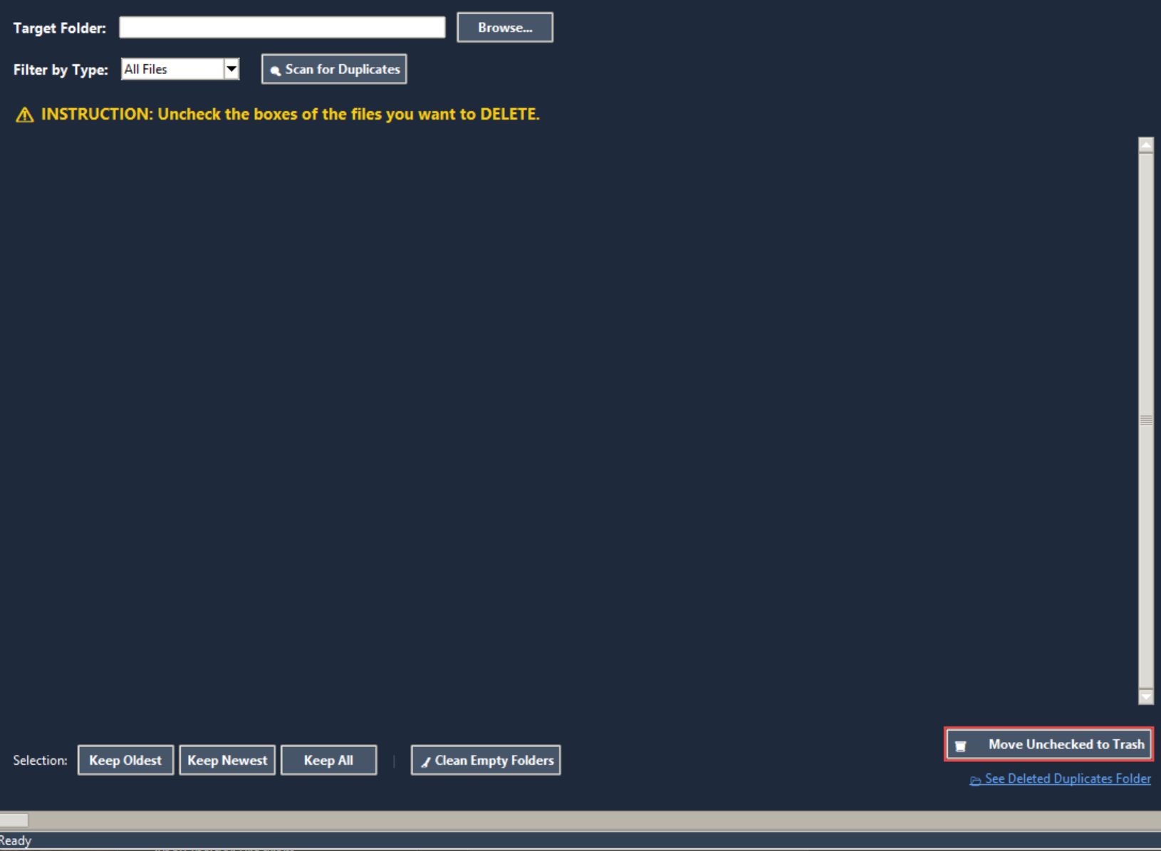 Duplicate File Manager Interface